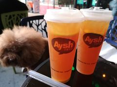 酷爽柠檬茶-艾薯夫妇Aysh(福田星河COCOPark店)