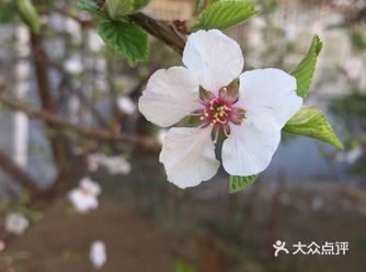 周末和家人们一起去房山区休闲玩乐