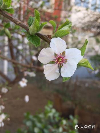 周末和家人们一起去房山区休闲玩乐