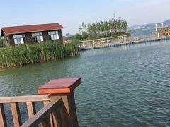 -苏州太湖国家湿地公园