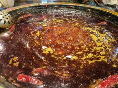 红汤锅底-一斗火锅·招财羊毛肚(泰吉滨江店)
