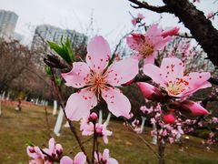 -白塘生态植物园