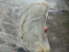 -台州嵌糕(广八路店)