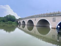 -大湾区中央湿地公园