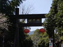 -龙井村