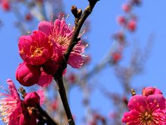 -狼山风景名胜区