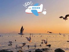 -深圳湾公园(南山区)