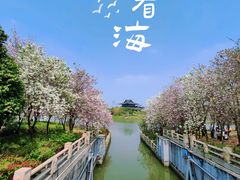 -海珠湖公园