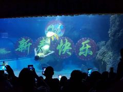 -左海海底世界