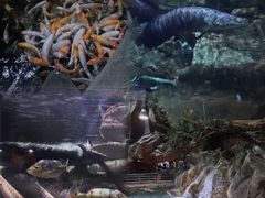 -北京海洋馆