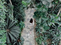 -郑州植物园