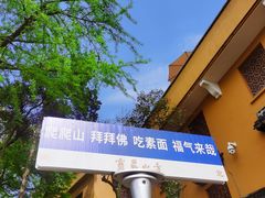 -灵岩山风景区