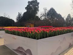 -南山植物园