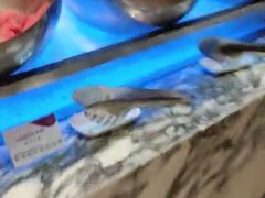 -上海圣诺亚皇冠假日酒店·诺亚厨房