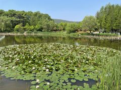 -云龙湖旅游景区