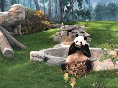 -鄂尔多斯野生动物园