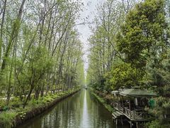 -合肥滨湖国家森林公园