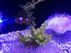 -皇家极地海洋世界-售票处