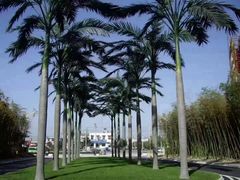 -西安国际创新人才交流中心·地中海餐厅·潮汕牛肉火锅·欧陆花园烧烤