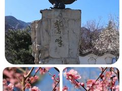 -鹫峰国家森林公园