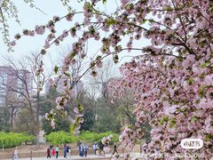 -元大都城垣遗址公园