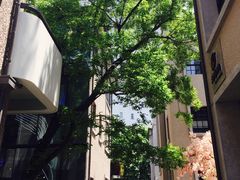 -徐家汇源景区-衡山坊