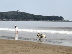 -金海湾海鲜排档(朱家尖店)