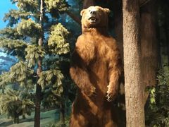 -陕西自然博物馆