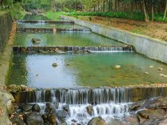 -广州白江湖森林公园