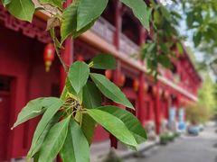 -南岳明心寺