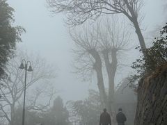 -莫干山风景区