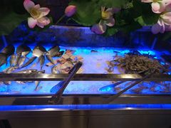 -比巴卜自助烤肉餐厅(新朝阳商业广场店)