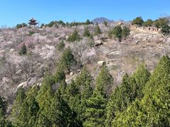 -白水寺森林公园