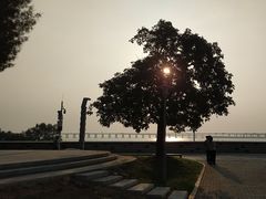 -宝安西湾红树林湿地公园