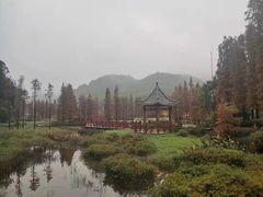 -广州市石门国家森林公园