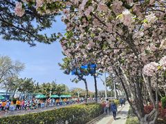 -青岛海景花园大酒店