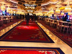 -拉斯维加斯永利酒店