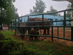 -秦皇岛野生动物园