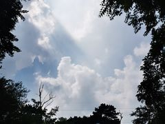 -阳台山自然风景区