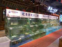 水产区-胖姐渔村(中源大道店)
