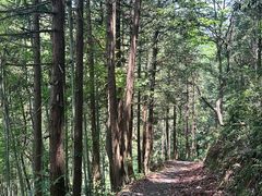 -石台牯牛降景区