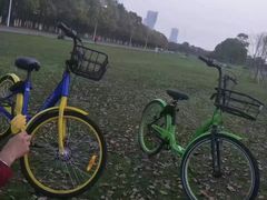 -艾溪湖湿地公园