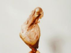 -来子鸡(陶然亭店)