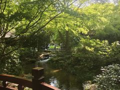 -中国茶叶博物馆(双峰馆区)