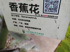 -呀路古热带植物园