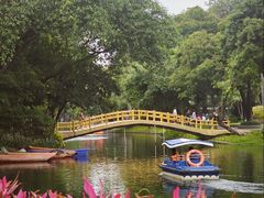 -晓港公园