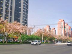 -平乐园(地铁站)