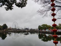 -无锡蠡湖国家湿地公园-蠡园