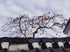 -三河古镇