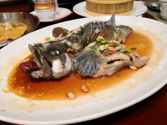 -国家五钻酒家·西樵旺阁渔村(西樵店)